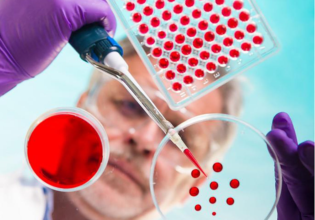 Un simple análisis de sangre podría predecir qué organos están envejecidendo prematuramente