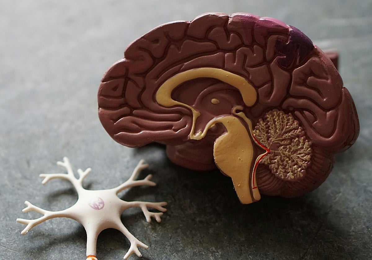 Estados Unidos aprueba un nuevo medicamento contra el alzhéimer