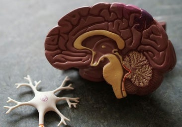 Estados Unidos aprueba un nuevo medicamento contra el alzhéimer
