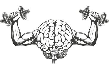 Los abuelos trasmiten los beneficios del ejercicio físico en el cerebro a sus nietos