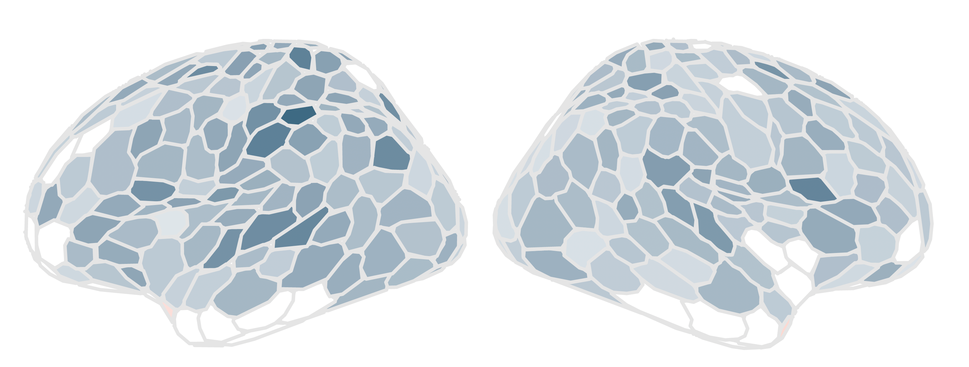 Cambios generalizado en el volumen de la materia gris cortical en paralelo con el avance de las semanas de gestación. Los colores más oscuros indican las regiones más afectadas por la transición del embarazo