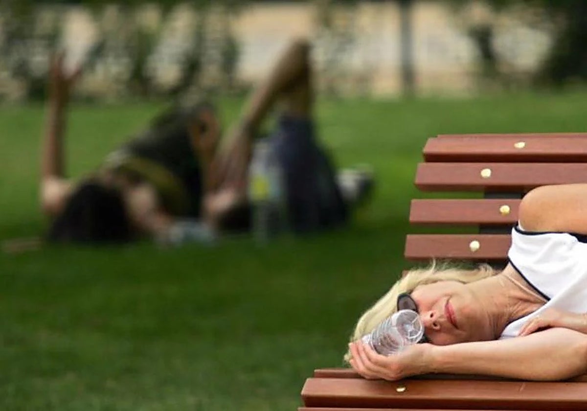 Mujer durmiendo en un banco de un parque