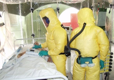 Una pastilla cura el ébola en monos: esperanza de tratamiento para humanos