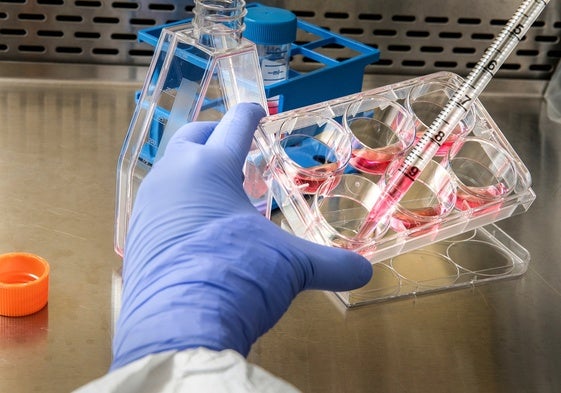 El test de sangre que avisa si reaparece el melanoma