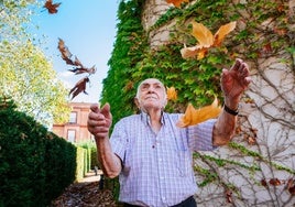 'Recuerdos de otoño' y 'Camino sin límites', imágenes ganadoras de 'La mirada del paciente'
