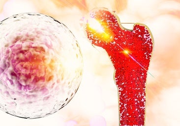 Cáncer y envejecimiento: dos caras de la misma moneda