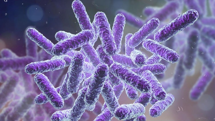 Las infecciones por E. Coli y Listeria alcanzan máximos históricos en la UE
