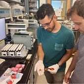 Algunos cigarrillos electrónicos desechables liberan más plomo en un día que 20 paquetes de tabaco convencional