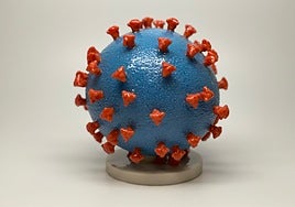 El coronavirus aumenta el depósito de una proteína relacionada con el alzhéimer