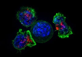 Así se escapa el cáncer de pulmón de los tratamientos