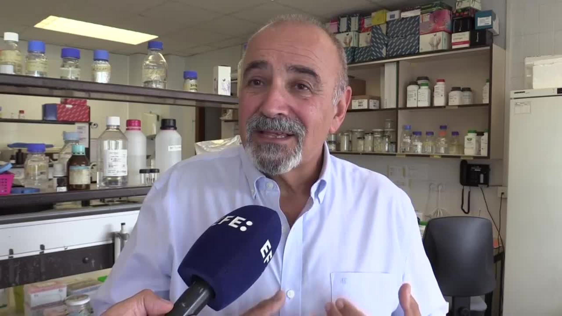 Una microbiota sana y diversa es sinónimo de salud, según López-Goñi