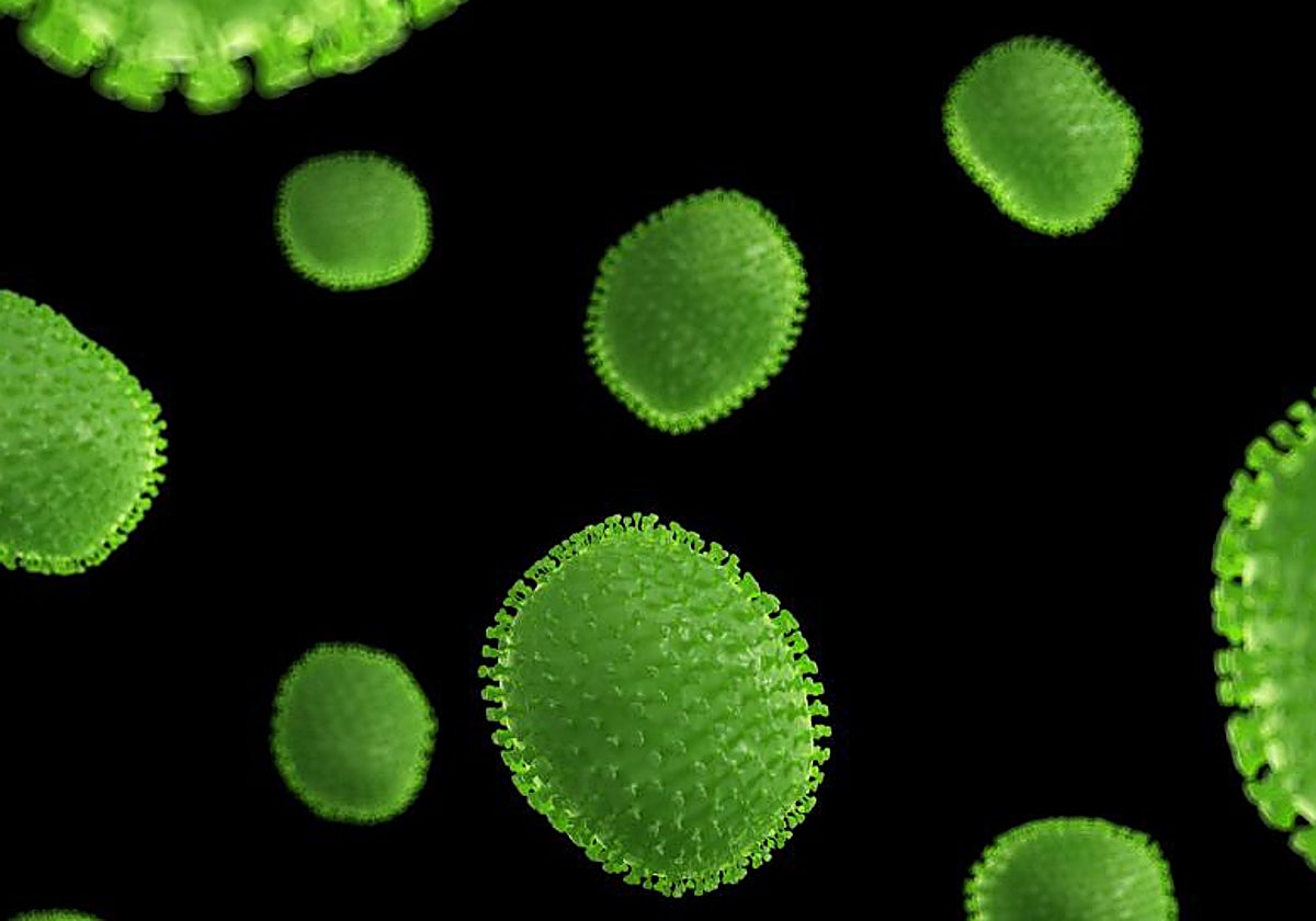 ¿Qué tienen que ver los microbios con el desarrollo de cáncer?