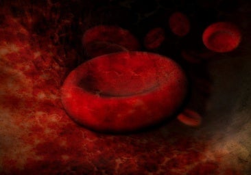 Advierten del aumento de los cánceres de la sangre en España