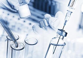 'Candidozyma auris', el peligroso hongo resistente a los tratamientos que es una amenaza global