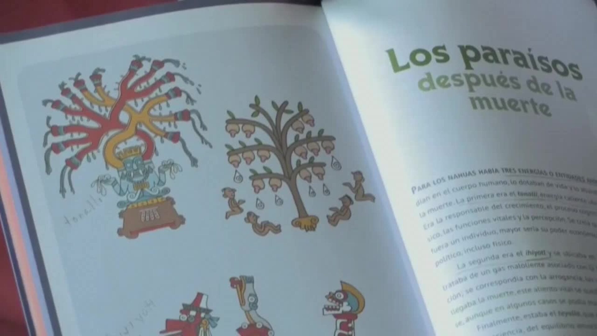La inteligencia artificial, la herramienta óptima contra el cáncer de mama en América Latina