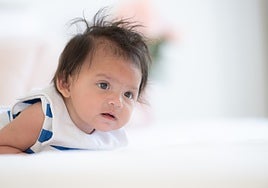 La aterosclerosis se origina en la infancia: expertos advierten sobre el riesgo cardiovascular desde los primeros años de vida