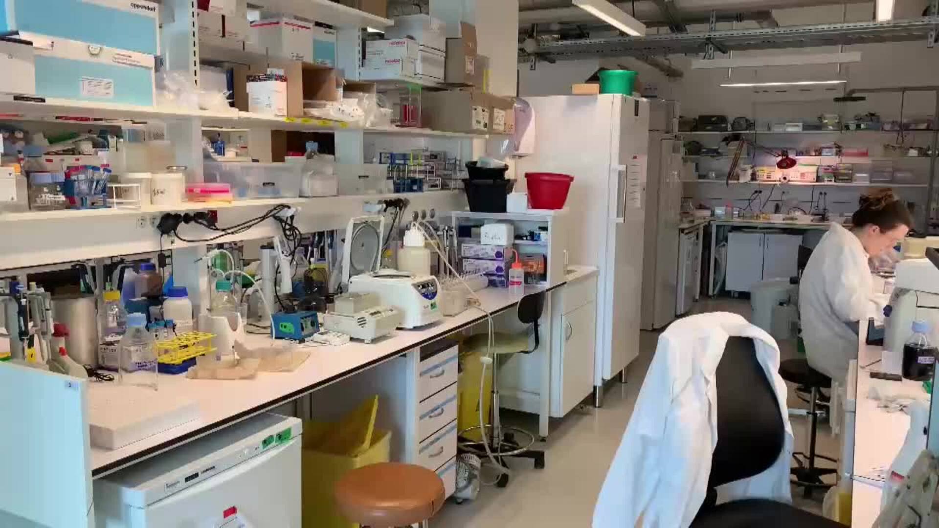 Francia descarta riesgos para el consumo de carne de ave pese a la alerta por gripe aviar