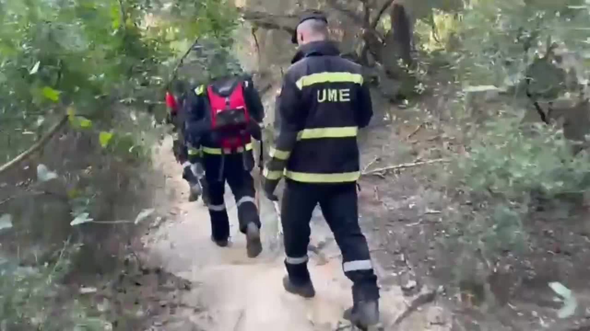 Continúan los rastreos en la &#039;zona cero&#039; del brote de peste porcina detectada en la sierra barcelonesa de Collserola