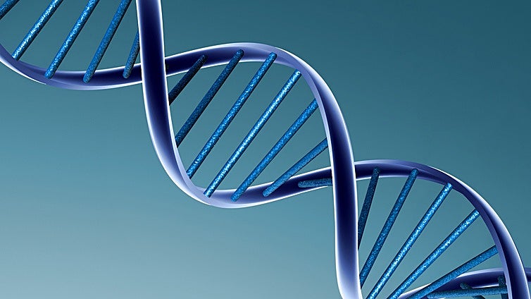 Tu ADN dice mucho de ti, incluso si te gusta el brócoli