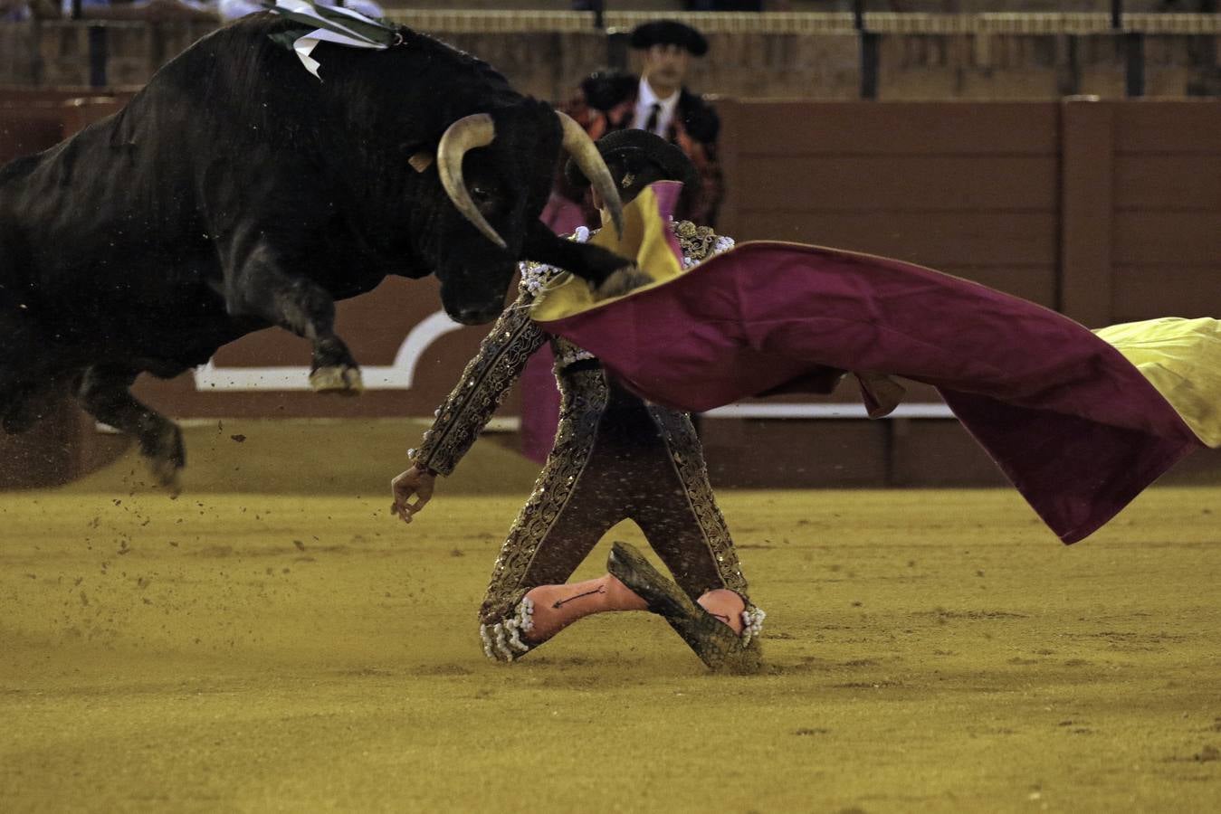 Primera novillada del ciclo de promoción en la Maestranza de Sevilla
