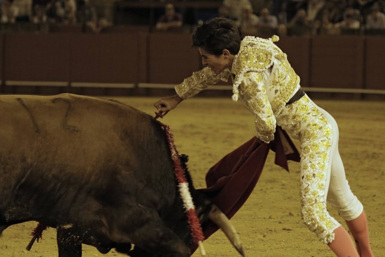 Primera novillada del ciclo de promoción en la Maestranza de Sevilla