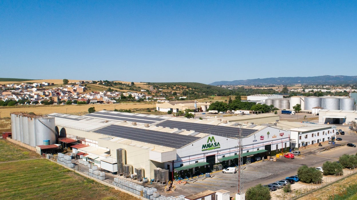 Migasa apuesta por el autoconsumo energético e instala en Alcolea su primera planta fotovoltaica