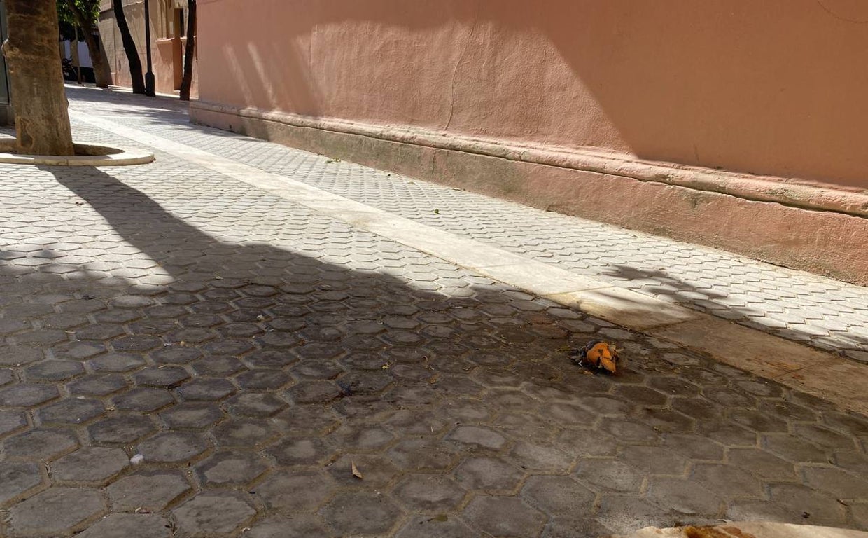 Costras de suciedad en la plaza de Teresa Enríquez