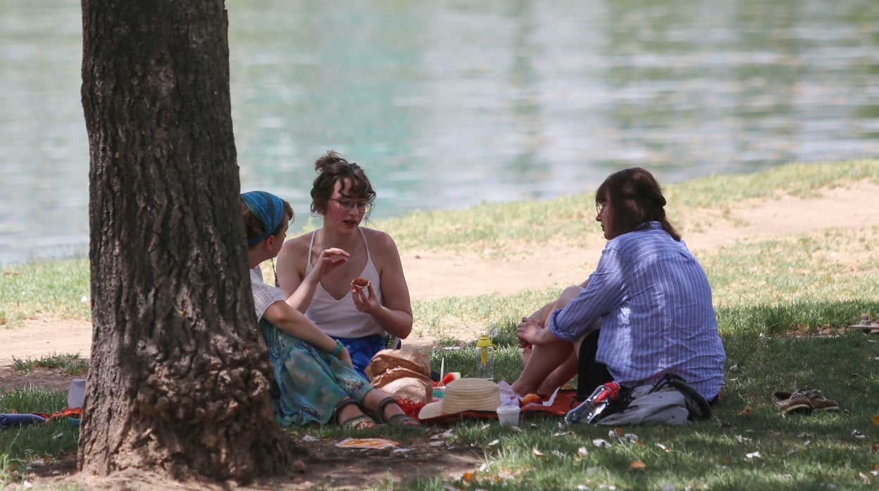 El tiempo en Sevilla: activado el aviso amarillo para el viernes por temperaturas máximas