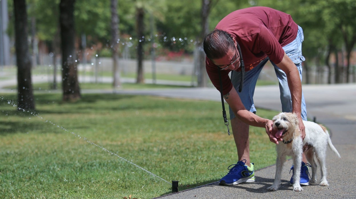 Nuevo episodio de riesgo medio de calor en Sevilla a partir del domingo