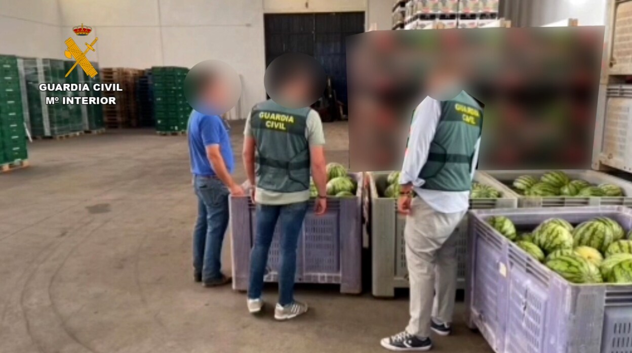 Arrestan doce personas por robar 2.500 kilos de sandías en el Aljarafe y la Marisma para la venta ambulante