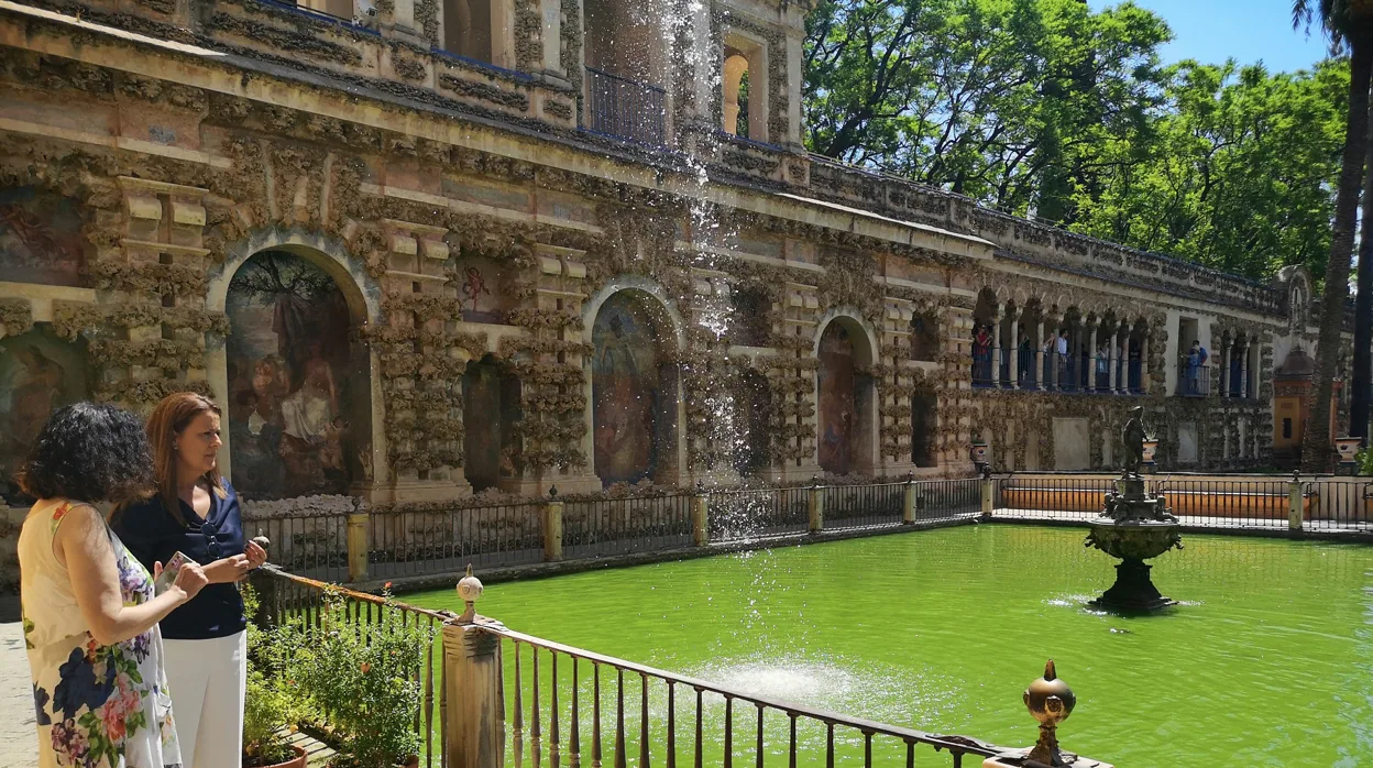 El Real Alcázar de Sevilla licita la restauración del Estanque de Mercurio para recuperar los surtidores de agua