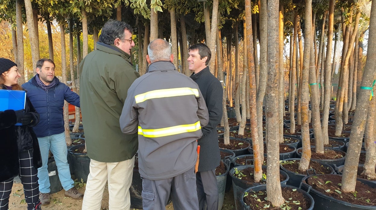 El Vivero de Miraflores se amplía para concentrar las plantaciones de árboles y trabajos de jardinería