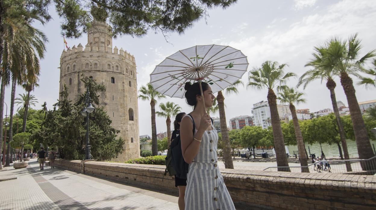 Tiempo en Sevilla: alerta amarilla por calor como inicio de un fin de semana moderado