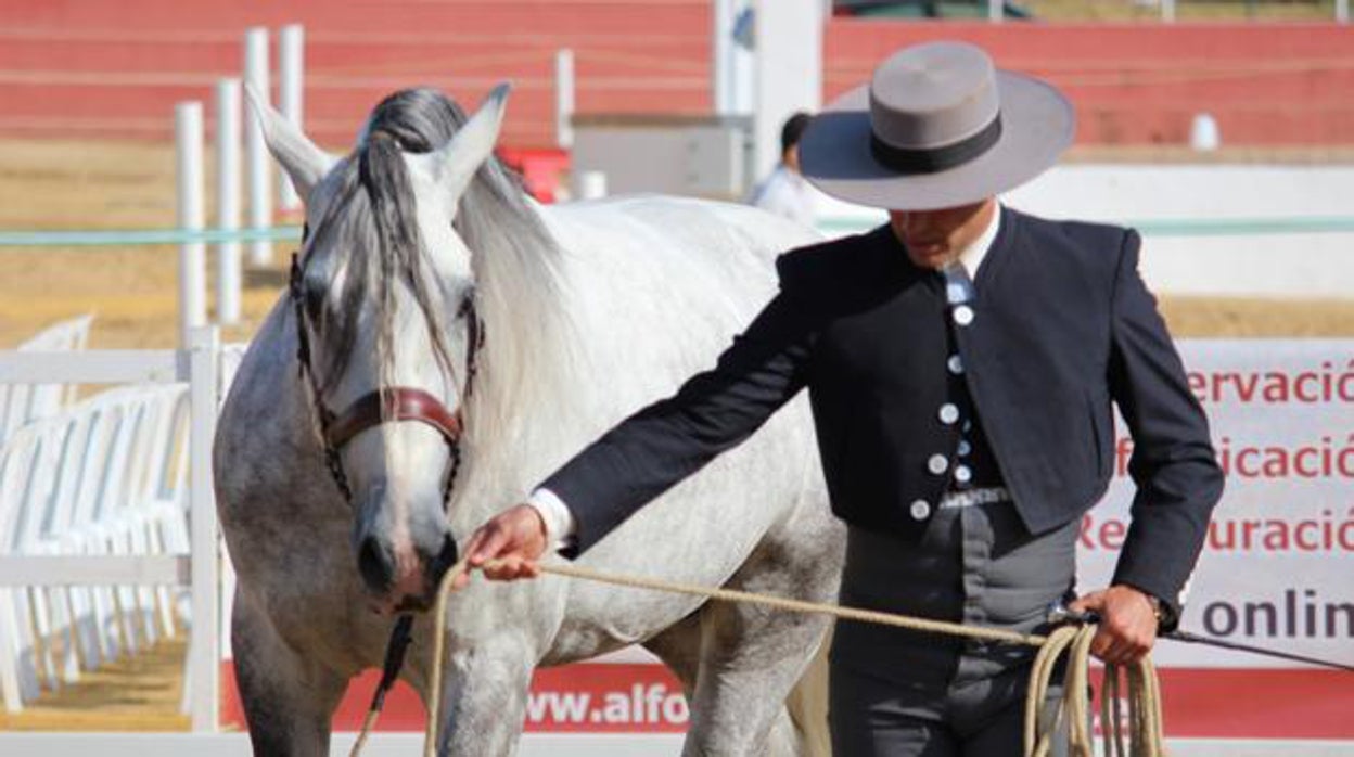 Una Pará en Gines regresa en octubre bajo el lema 'La tradición de reencontrarnos'