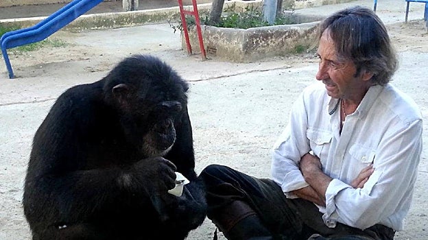 Muere Gina, la chimpancé sevillana de MundoPark que «era demasiado humana»