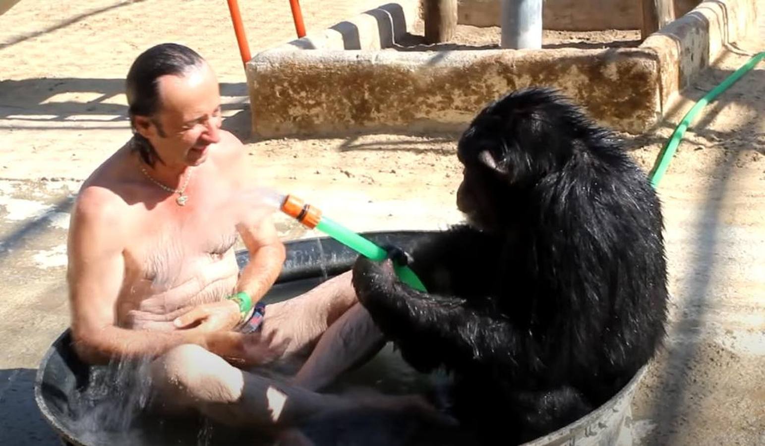 La chimpancé Gina, junto al director de Mundopark, Juan Luis Malpartida