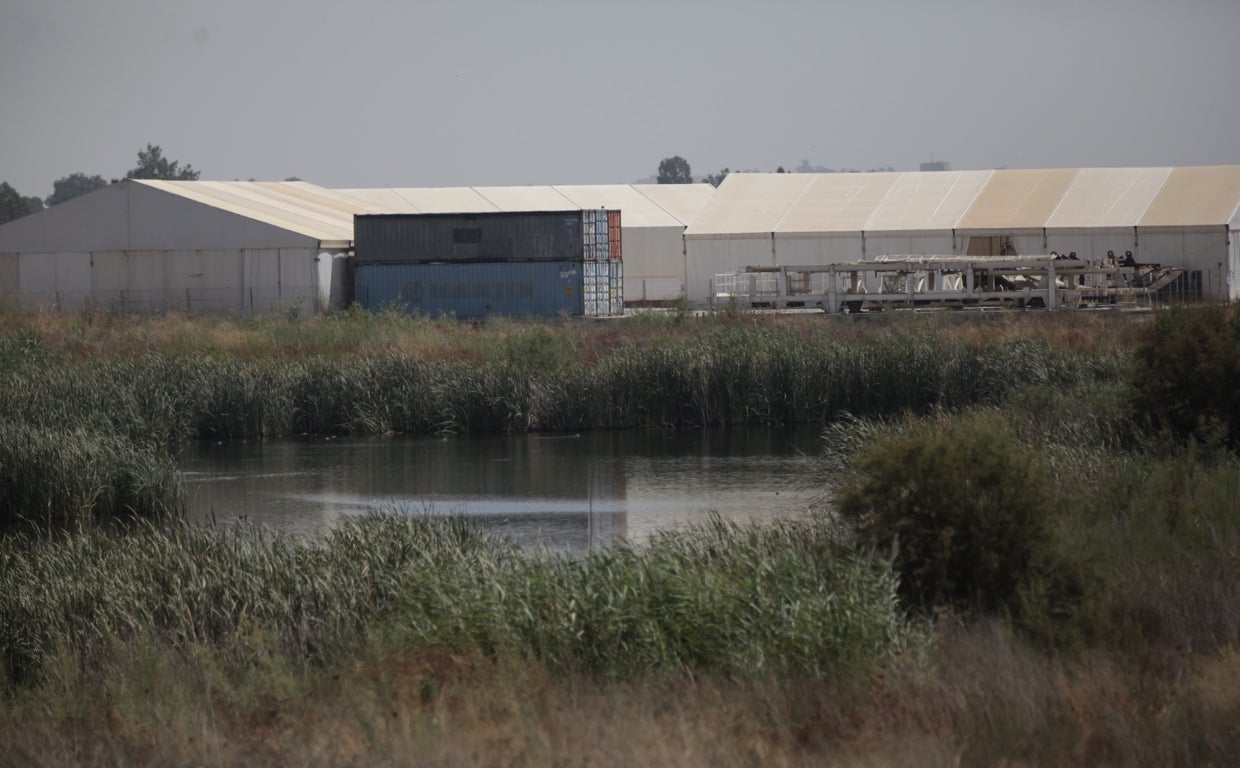 Lugar cerca de Coria del Río donde se encuentran las piezas de la tuneladora desde su llegada a Sevilla, en 2012