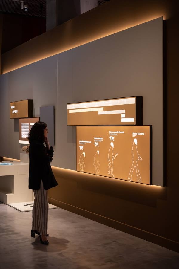 'Talking Brains', la nueva exposición sobre el lenguaje en CaixaForum Sevilla 