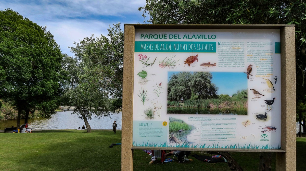 El parque del Alamillo de Sevilla celebra este miércoles su 29 cumpleaños con una tarta gigante