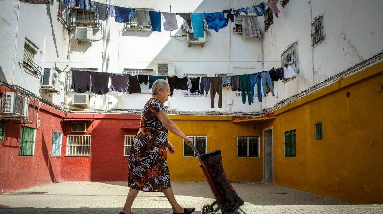 Tres semanas de sueño y doce meses de pesadilla