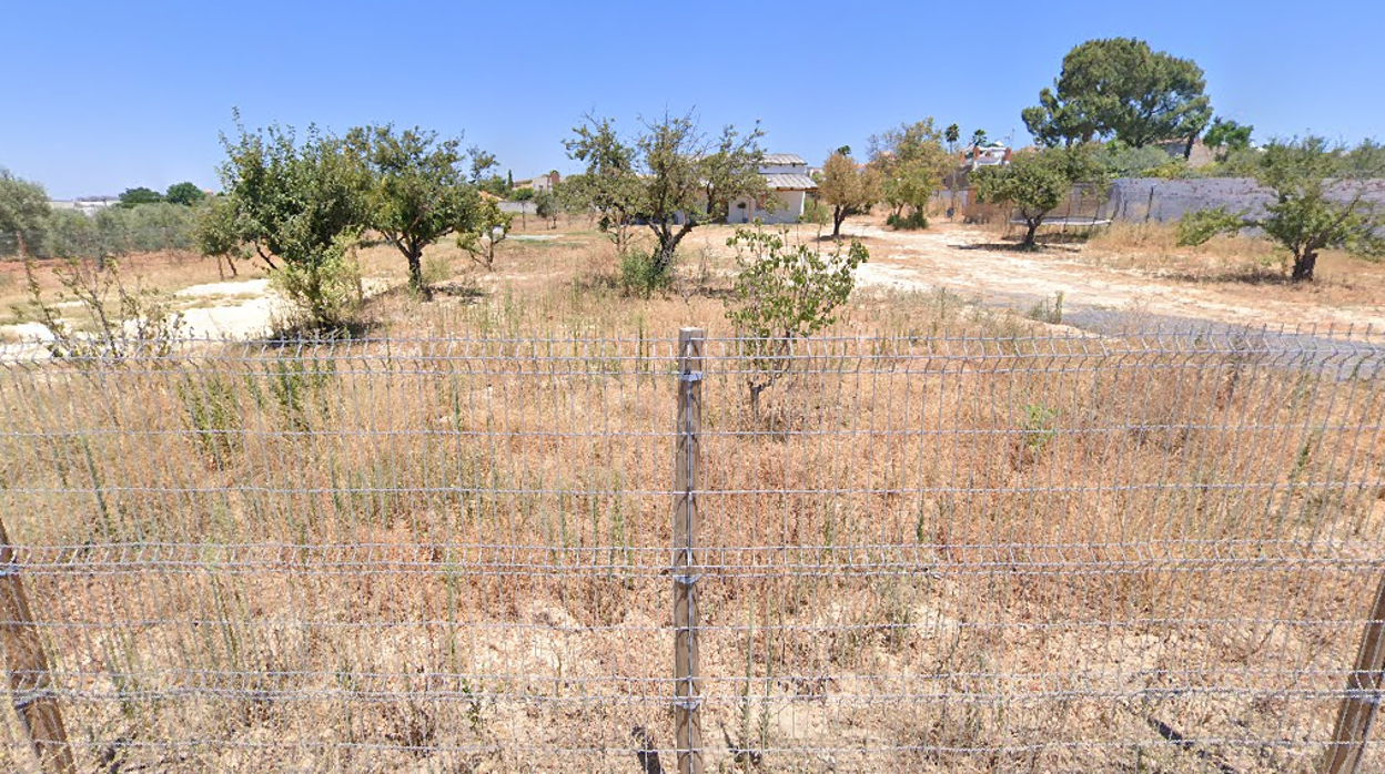 Denunciadas las obras ilegales en una finca familiar de una edil de Bormujos en suelo rústico