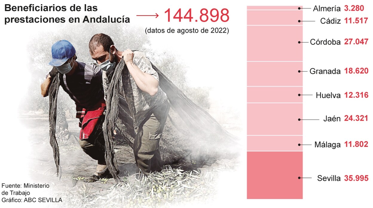 En Andalucía cobran el paro agrario casi 145.000 jornaleros