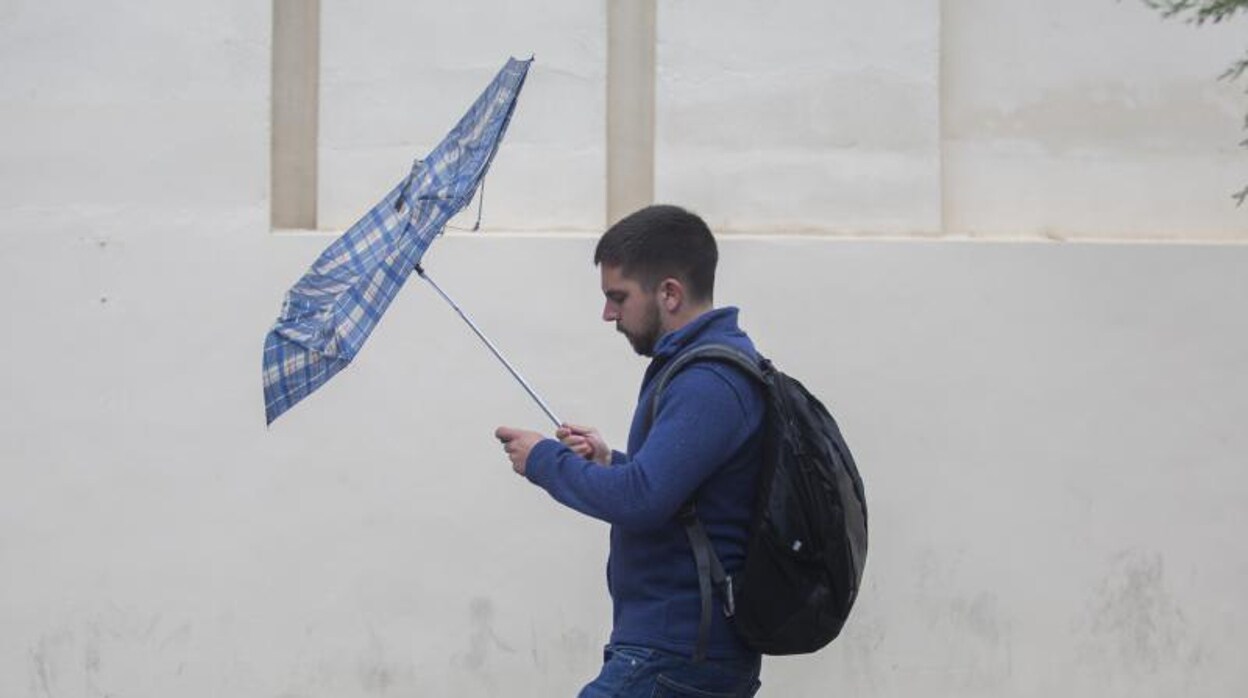 El tiempo en Sevilla: aviso amarillo por lluvias intensas en las próximas horas