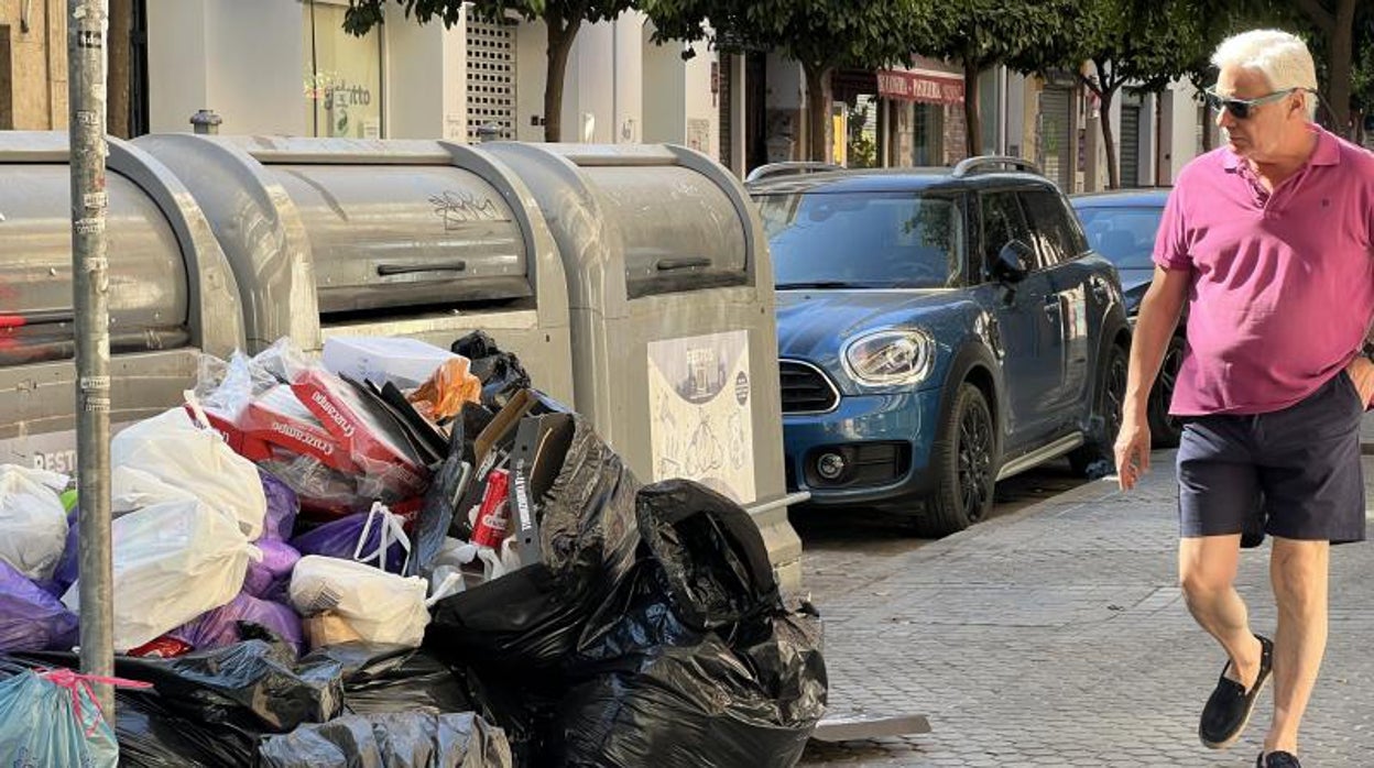 Estos son los horarios para tirar la basura en Sevilla y las multas por no respetarlos