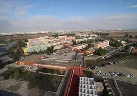 La Universidad Pablo de Olavide entoldará el camino desde el metro a los centros de estudio