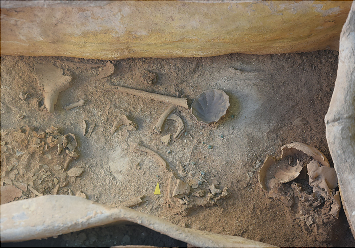 Interior de la tumba encontrada en La Puebla de Cazalla cuyas excavaciones ha dirigido Alejandro Jiménez