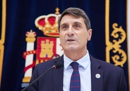 El delegado del Gobierno defiende la actuación de la Guardia Civil en el arresto del vecino de Mairena fallecido