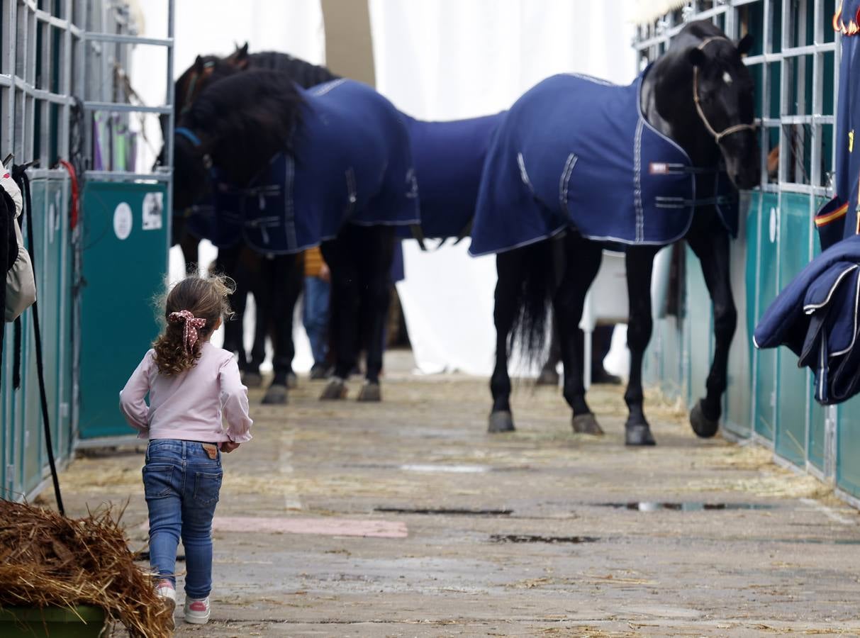 Ambiente este martes de la primera jornada del Salón Internacional del Caballo (Sicab)
