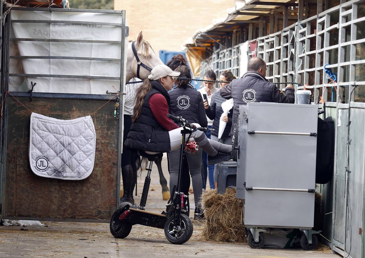 Ambiente este martes de la primera jornada del Salón Internacional del Caballo (Sicab)