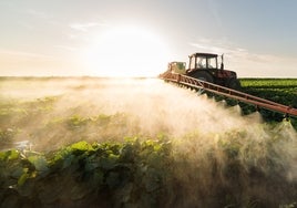 ¿Qué es el amoniaco verde que se va a producir en Sevilla?